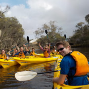 Canning River Half-Day Kayak Wildlife Tour