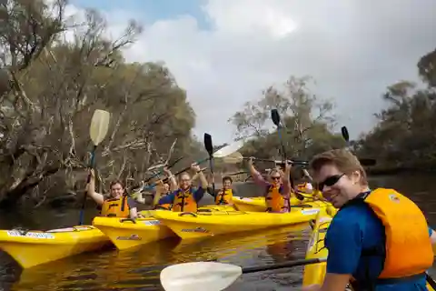 Canning River Half-Day Kayak Wildlife Tour
