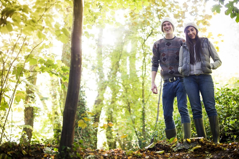 Tour privato di un giorno intero nella Foresta Nera di Baden