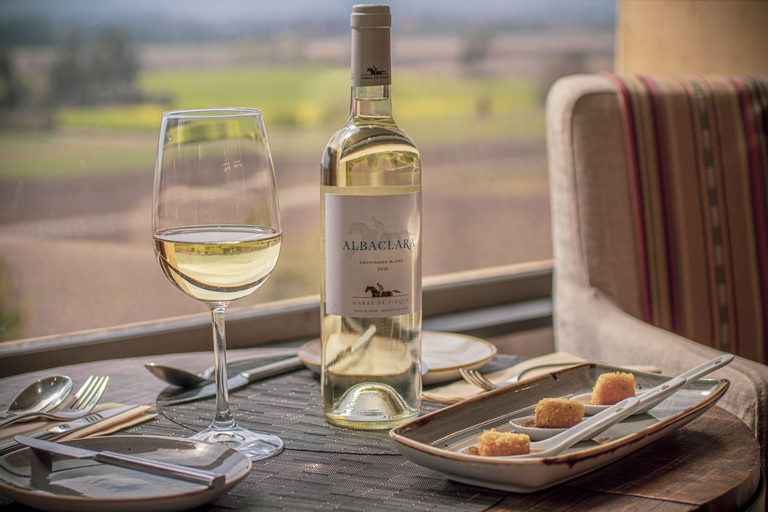 Viña Haras de Pirque Wine Experience