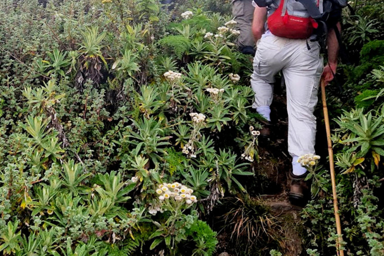 Rwanda 1 Day Mount Sabyinyo Hiking Adventure