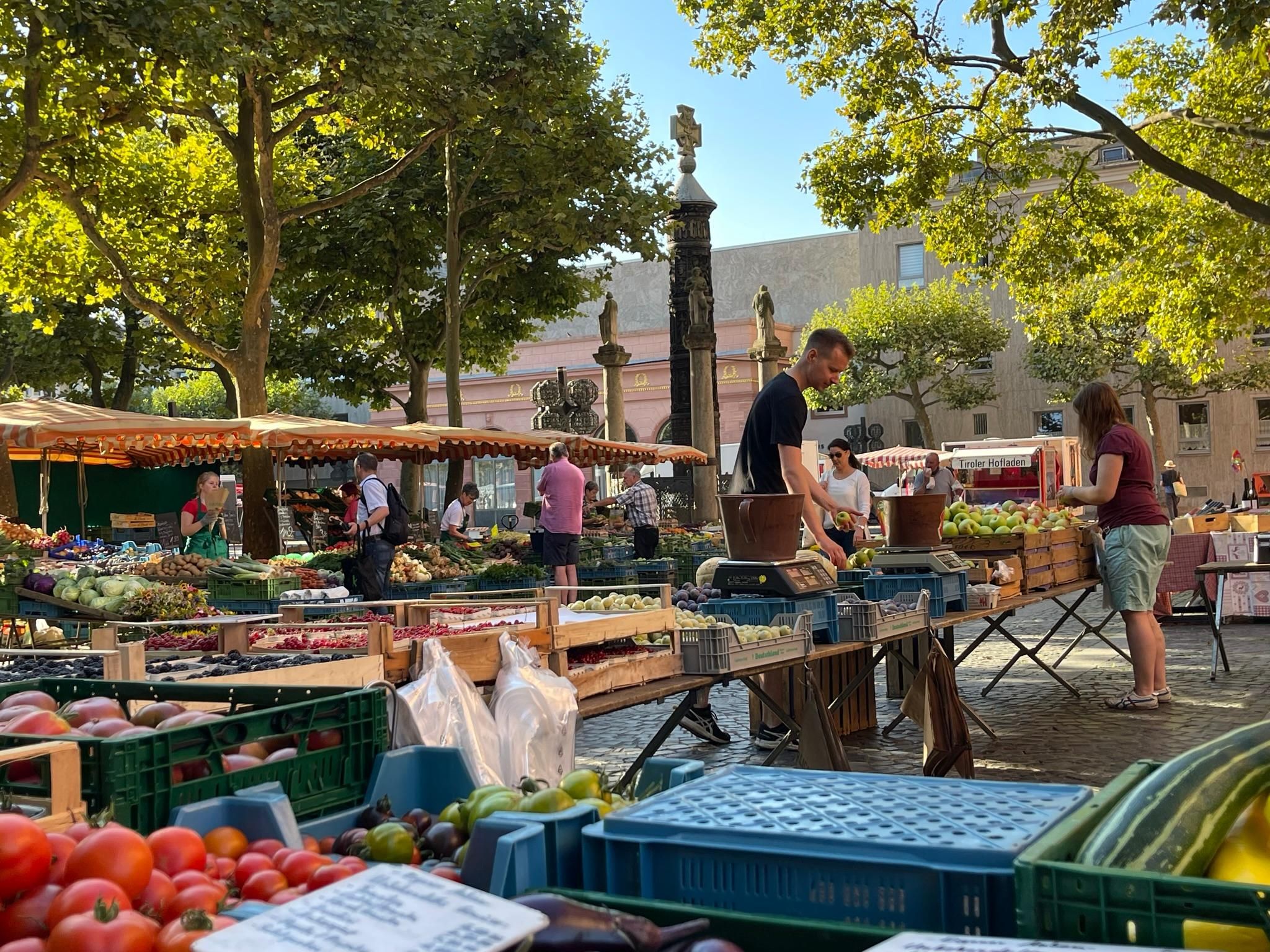 Mainz: Marktgeschichten – Geführter Rundgang zwischen Dom, Wein und Rhein
