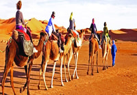 Dubai, Deserto Safari, barbecue, spettacoli, Camel Ride & Sand Boarding - Hizvo