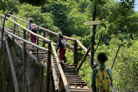 Shanghai: Zoumagang Hike Through Ancient Torreya Forest private tour option