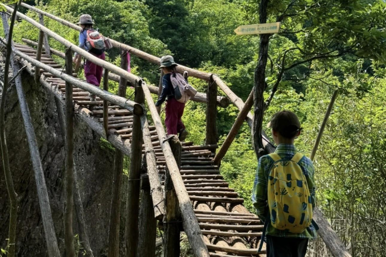 Shanghai: Zoumagang Hike Through Ancient Torreya Forest private tour option