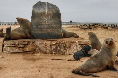 Skeleton Coast: Cape Cross and Henties Bay Guided Tour