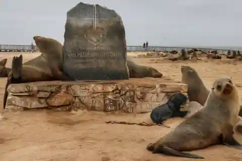 Skeleton Coast: Cape Cross and Henties Bay Guided Tour