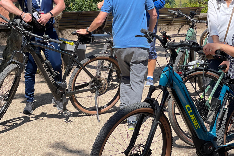 Baden-Baden: Private e-Mountainbike Tour with local Guide