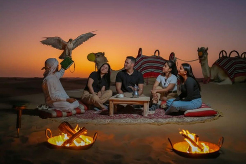 Doha: Desert Safari Tour with Wildlife Experience & Transfer