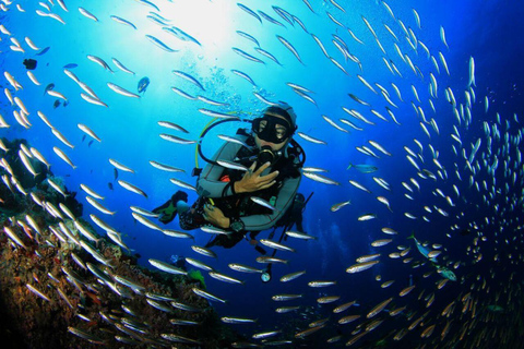 Alanya: Scuba Diving for Beginners & Certified Divers Scuba Diving for Beginners with Hotel Pick Up