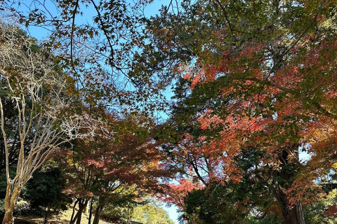 Nara Gardens and Temples Private Guided Tour with Transport