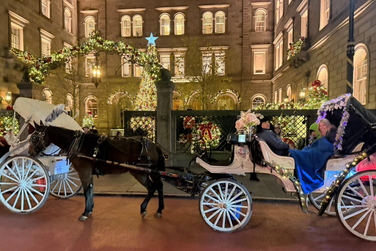 NYC: Central Park Christmas Lights Horse-Drawn Carriage Ride