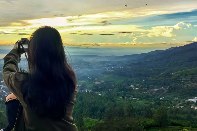 Excursion à Jakarta : Parapente au sommet d'une montagne et plantation de thé