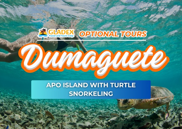 Visit Dumaguete Apo Island with Turtle Snorkeling (Private Tour) in Apo Island, Philippines