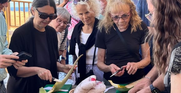 Gran Canaria: Aloe Vera Cosmetics Workshop + Product Tasting