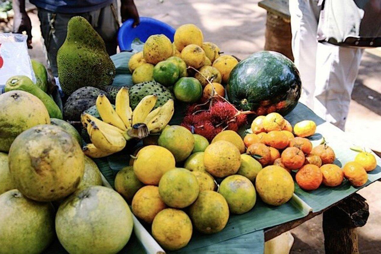 The spice farm and The city tour stone town