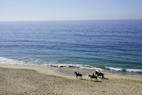 Punta del Este: Experience an unforgettable horseback ride on the beach