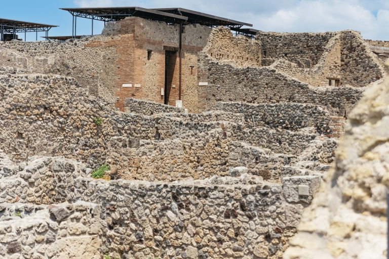Vanuit Napels: dagexcursie naar Pompeii en de VesuviusTour met een Spaanse live gids met ophaalservice vanaf het hotel