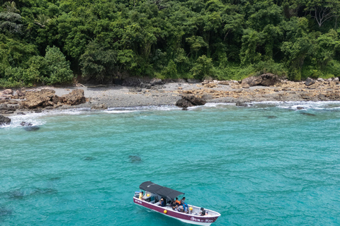Panama City: Otoque Island Full-Day Tour with Local Lunch So, this is the Otoque Island Whale Watching Experience (seasonal)!