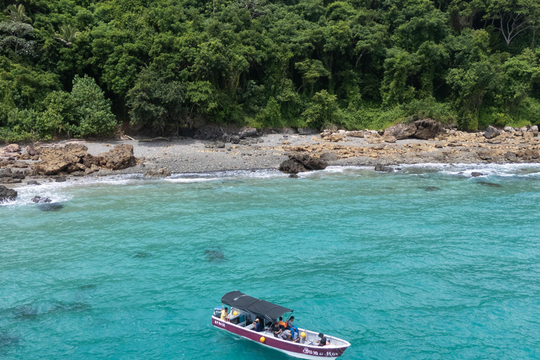 Panama City: Otoque Island Full-Day Tour with Local Lunch So, this is the Otoque Island Whale Watching Experience (seasonal)!
