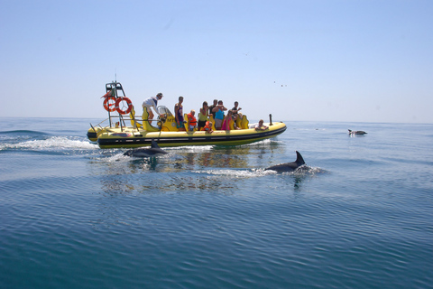 Côte de l'Algarve : grottes et observation de dauphins