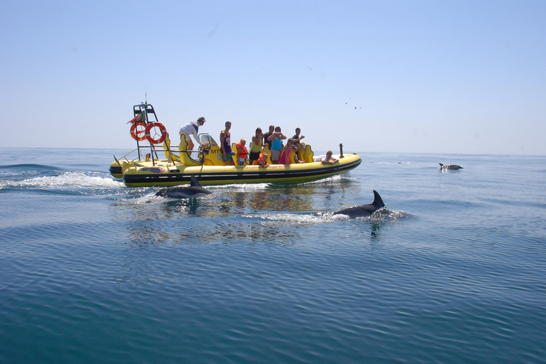 Algarve Coast: Dolphin Watching & Cave Tour