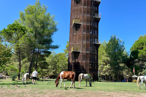 تيرانا: رحلة ليوم واحد إلى أبولونيا وبحيرة كارافاستا مع الغداء