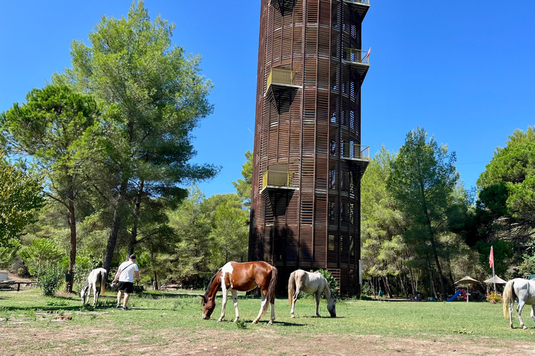 تيرانا: رحلة ليوم واحد إلى أبولونيا وبحيرة كارافاستا مع الغداء