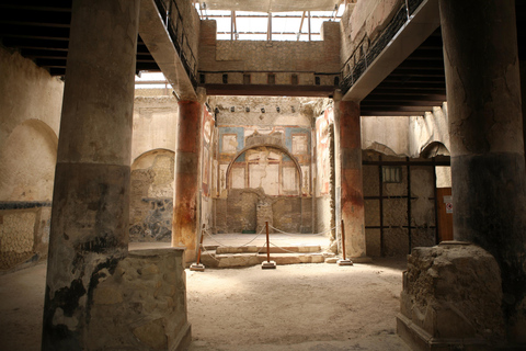 Depuis Naples : Excursion d&#039;une journée au Vésuve et à Herculanum avec billets