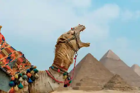 Au départ du Caire : Balade à dos à chameau ou à cheval autour des pyramides de Gizeh.