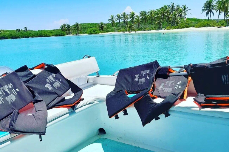 Riviera Maya: Isla Contoy and Isla Mujeres Full-Day Tour