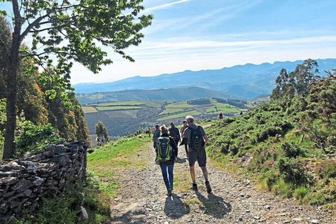 From Lourdes to Bétharram: a stage of the Camino de Santiago on foot