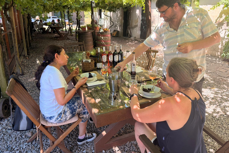 Cordano Winery – Founded by José Mujica’s Grandfather Wine Experience with transport from Colonia del Sacramento