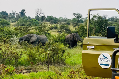 Kigali: Akagera National Park Safari with Boat Cruise