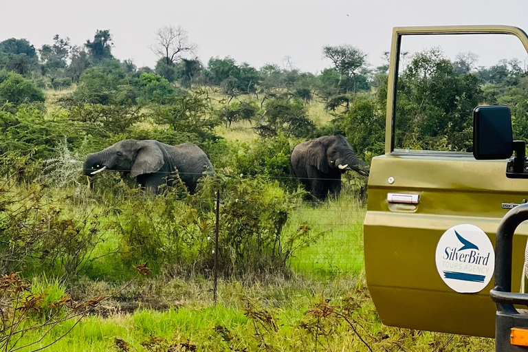 Kigali: Akagera National Park Safari with Boat Cruise