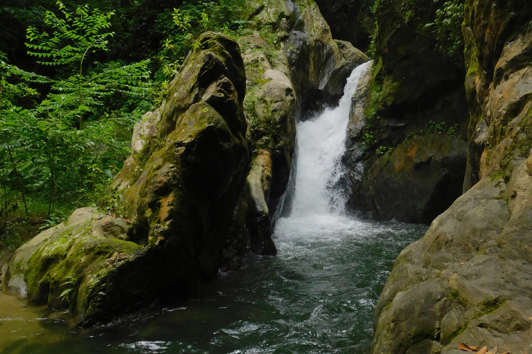 Santa Marta: San Isidro de La Sierra Waterfall Day Tour