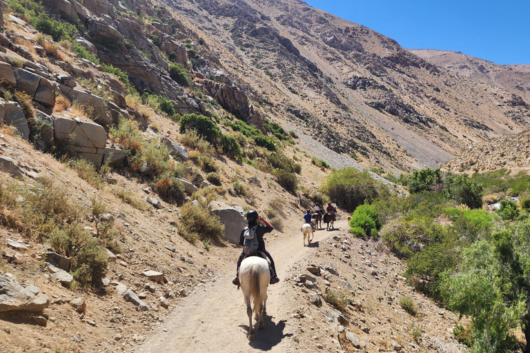 Horseback riding in the Cochiguaz River Sanctuary in the Elqui Valley.