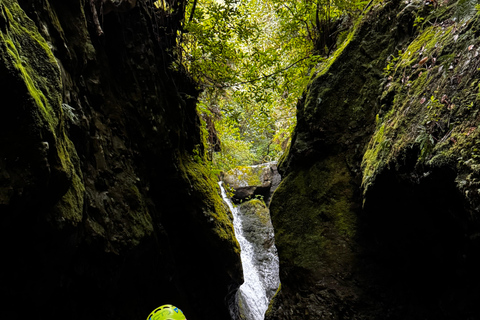 Madeira: Canyoningtocht voor gevorderdenMadeira: Canyoning voor de gevorderden