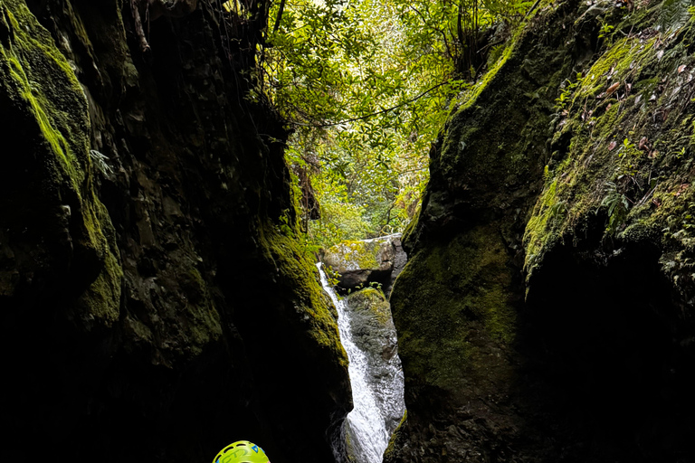 Madeira: Canyoningtocht voor gevorderdenMadeira: Canyoning voor de gevorderden