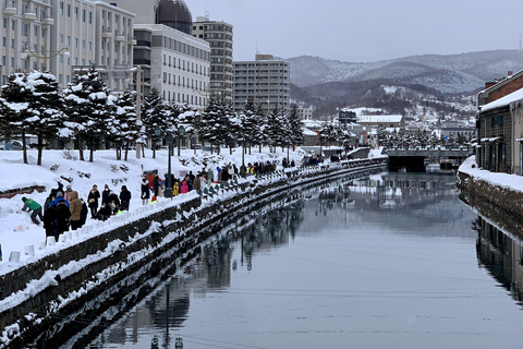 Excursión a Otaru de 10 horas (Salida desde Sapporo)