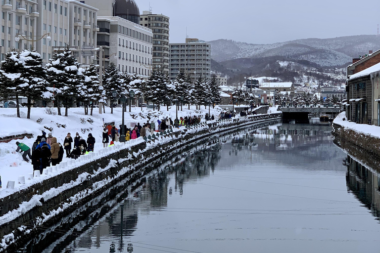 Excursión a Otaru de 10 horas (Salida desde Sapporo)