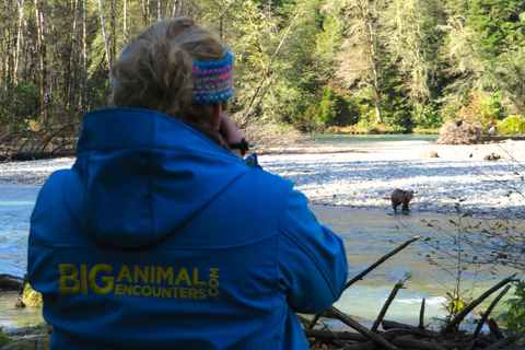 Campbell River: Grizzly Bear Expedition with Lunch