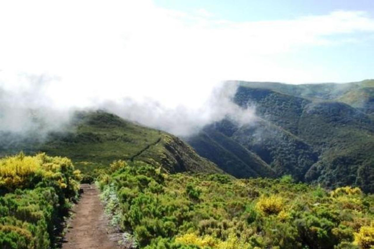 Fanal Assobiadores Trail Machico, Santa Cruz pickup hotels