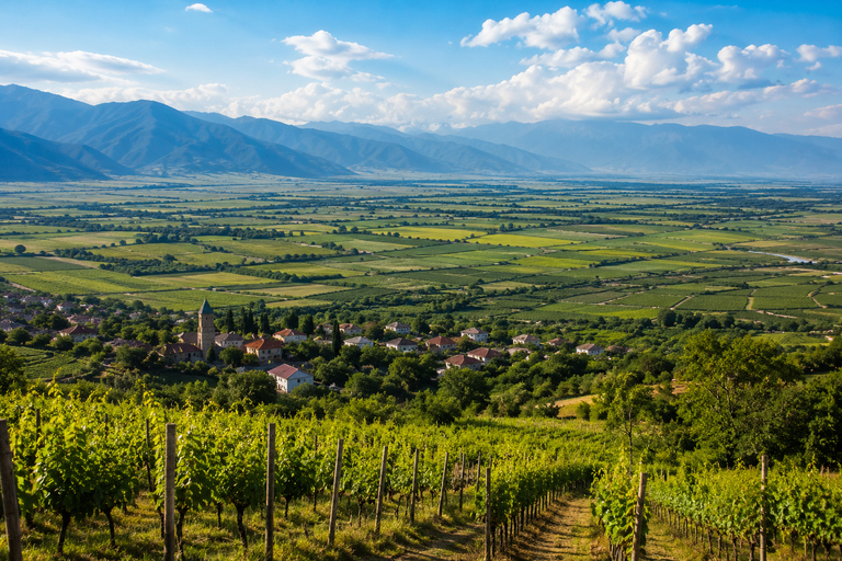 From Tbilisi: Kakheti Full Day Guided Group Trip