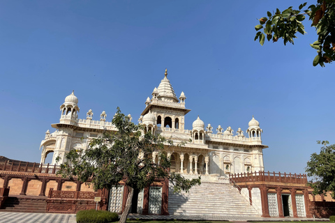 斋浦尔带司机和导游的私人城市之旅