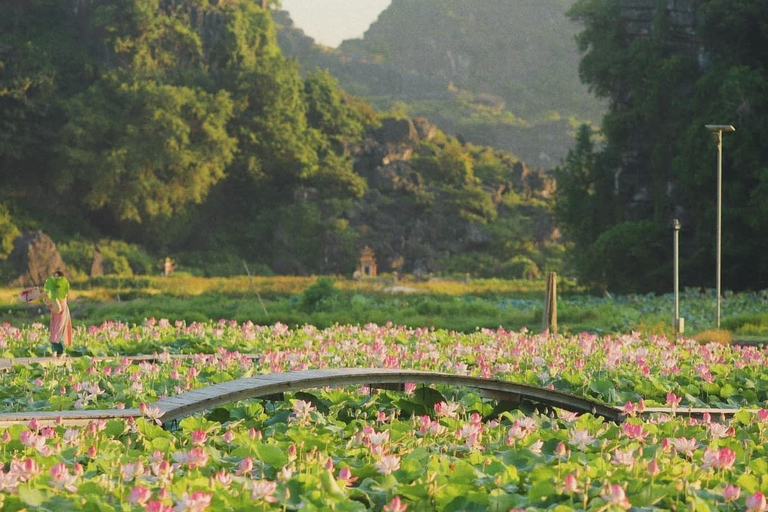 Desde Hanói: Excursión de 2 días a Ninh Binh, Hoa Lu y Trang An