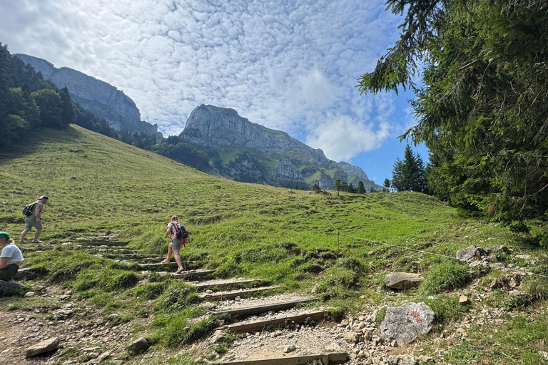 Von Zürich: Private Wanderung zum atemberaubenden SeealpseeVon Zürich aus: Private Wanderung zum atemberaubenden Seealpsee