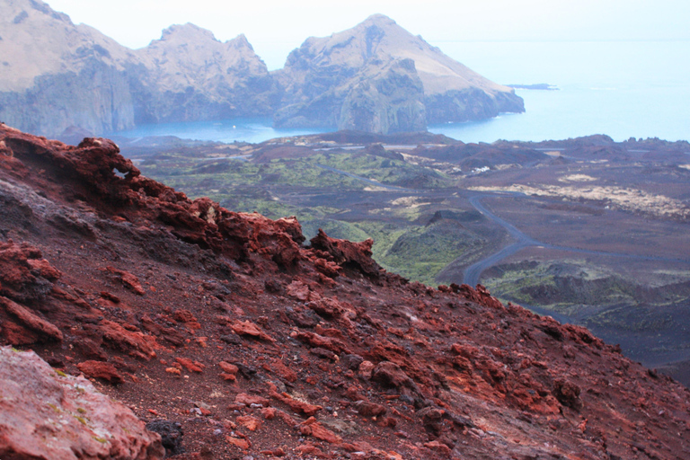 Westman Islands World´s Largest Puffin Colony & Volcano Tour