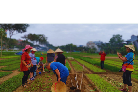 Hoian: Clase de fabricación de linternas y visita en bici a los campos de búfalos de arroz