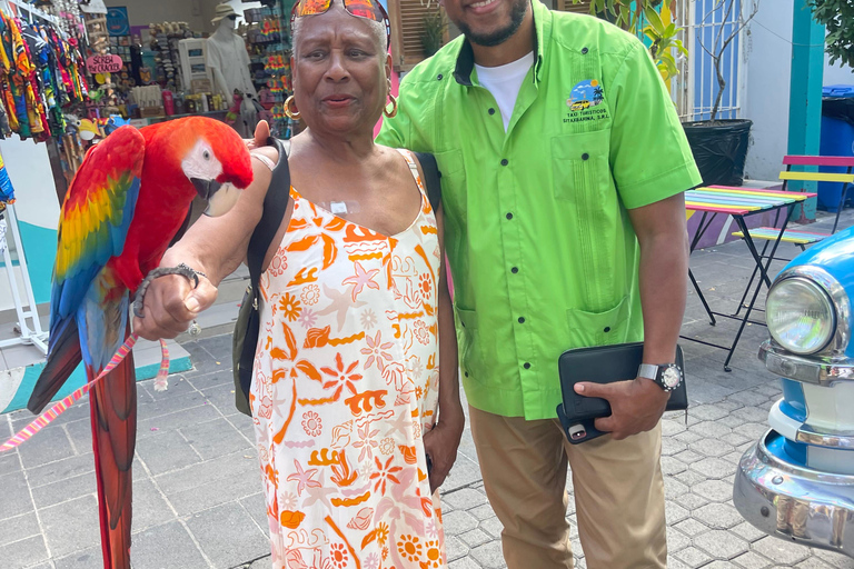 Amber Cove & Taino Bay: Private VIP Monkeys & Beach Escape